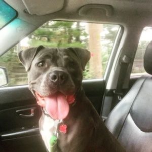 Meet your Posher, Charlene